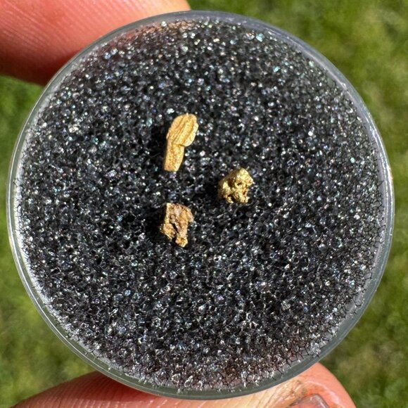 Gold Nuggets from California - 0.10 grams - Picture 1 of 3